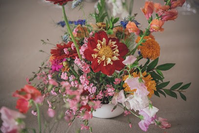 Kiwi Studio, Photographe à Saint-Prouant