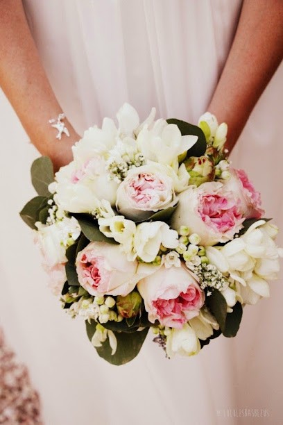 Lulu Les Bas Bleus, Photographe à Saint-Brès