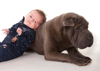 Jossot Laurent, Photographe à Nort-sur-Erdre