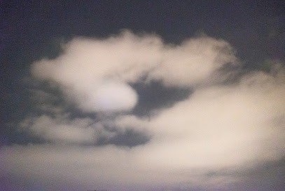 Emilie Allais, Photographe à Marseille 05