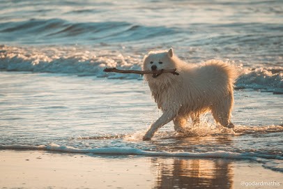Isopix | Mathis Godard, Photographe à Gujan-Mestras
