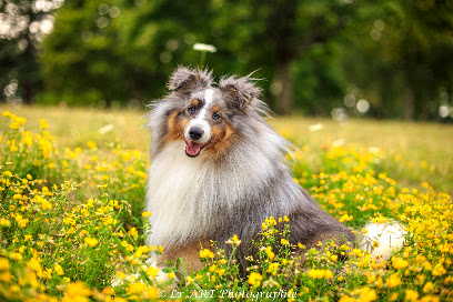 Ly Art Photographie | Photographe Animalier & Famille Photographe à la Suze-sur-Sarthe