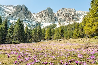 Robin Alves Photographie, Développement de Photos à Bolquère