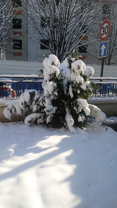 Mas Mickaël, Photographe à Livry-Gargan