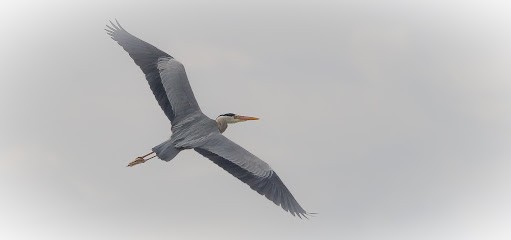 Luc Vasseur Photographe Graphiste, Photographe à Plérin