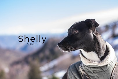 Shelly studio, Photographe à Saint-Orens-de-Gameville