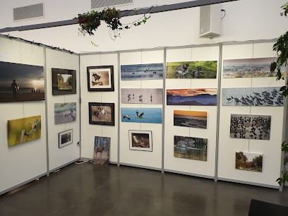 Stage-Photo-Piemont-Pyreneen, Développement de Photos à Soustons