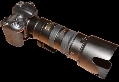 Photo Gendrot Gaëtan - photographe Scolaire, Mariage & Famille à Châteaubriant, Photographe à Châteaubriant