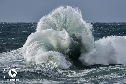 Bellimages, Photographe au Palais