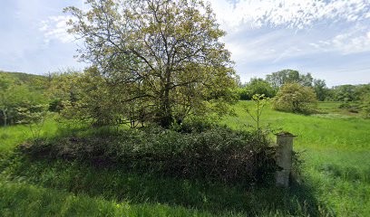 Drone M-tek, Photographe à Larrazet