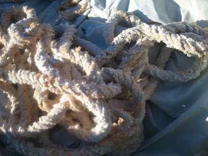 Assié Germann Frédérique, Photographe à Saint-Antonin