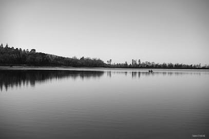 Franck Teysseyré, Photographe à Revel