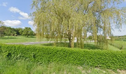 Rowl Media, Photographe à Marquise