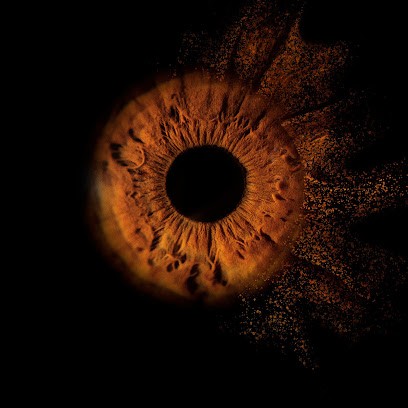 Les 3 P'tits Klics, Photographe à Odomez