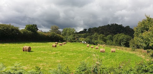 Dans l'Objectif, Photographe à Tessy-Bocage