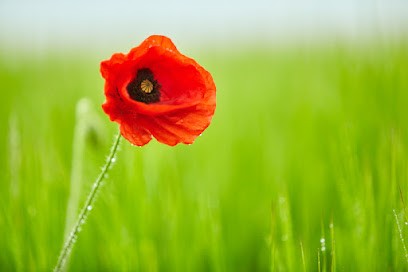 Christophe Fassi Reportages Photo/Vidéo/Drone & FPV Meaux 77, Photographe à Meaux