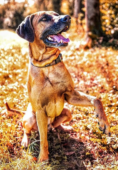 Godier Vincent Photographie, Photographe à Sorcy-Saint-Martin