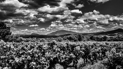 Saez Victor Photographe, Photographe à Malaucène