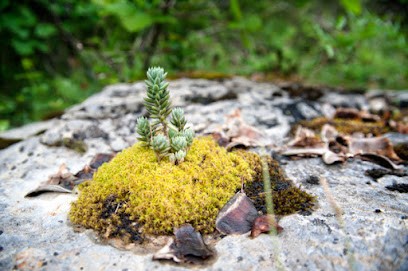 Mitty Desques Photographe/Graphiste, Photographe à Lisle-sur-Tarn