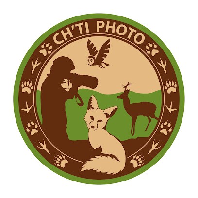 ch'ti photo Fabrice, Photographe à Wittenheim