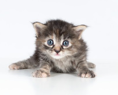 Stéphane LEGRAND, Photographe à La Seyne-sur-Mer