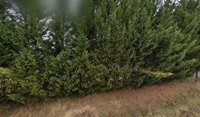 Marion Staderoli Photographe (MS Photographe), Photographe à Rustrel