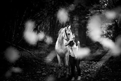J'emPhoto, Photographe à Lézinnes