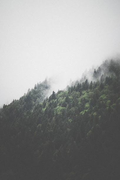 Omaha-Pictures - Photographe Vidéo, Photographe à Aiguilhe