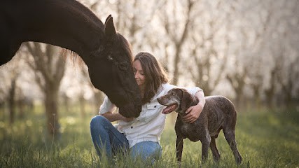Marie Flore Photographie, Photographe à Venelles