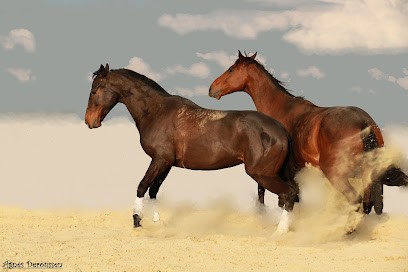 Deroussen Agnès Photographe, Développement de Photos à Magny-le-Hongre