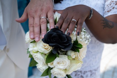 Le Studio d'Emily, Photographe à Pleyber-Christ