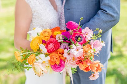 Little Color Photography, Photographe à Saint-Sébastien-sur-Loire