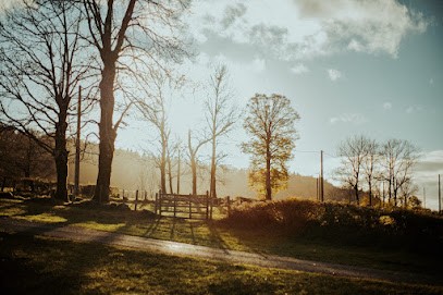 Hoop Des Bois Photographe, Photographe à Gindou