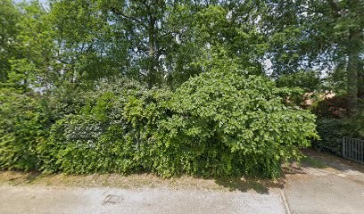 Xavier Belougne Photographe, Photographe à Saint-Jean-d'Illac