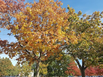 Je T'emmene, Développement de Photos au Grand-Quevilly