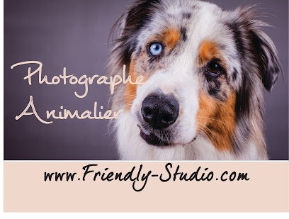 Friendly Studio - Le photographe de votre animal de compagnie, Photographe à Marboz