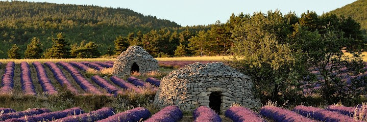 Vu Du Sud, Photographe à Sanary-sur-Mer