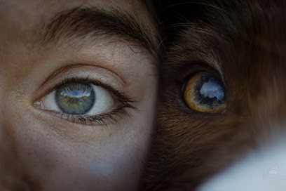 Vincent'n Photographe, Photographe à Lillebonne