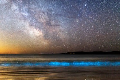 Laurent Laveder, Photographe à Pluguffan