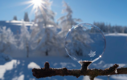 La Nature Dans Tous Ses Éclats Photographe à Lajoux