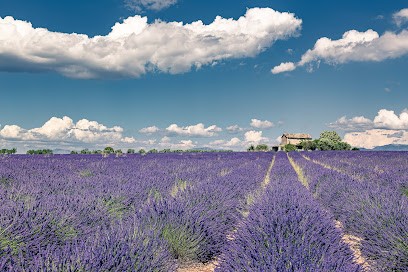 Provence Addict, Photographe à Ventabren