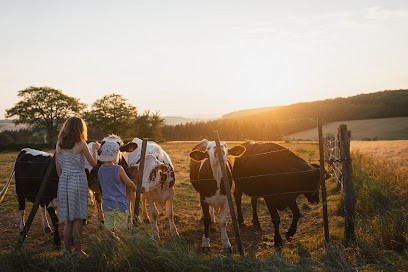 Margot Denizot Photographe, Photographe aux Vallées de la Vanne