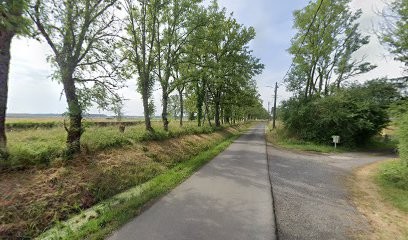 Thermo Drone Solution, Photographe à Diane-Capelle