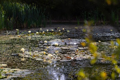 Hug Photographie, Photographe à Saint-Pierre-des-Corps