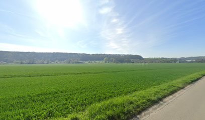 Olivier Bénier, Photographe à Neaufles-Saint-Martin