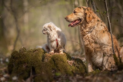 Virginie Mathieu Photographie, Photographe à Terville