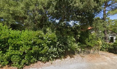 Nico Chapman Photographie, Photographe à Labenne