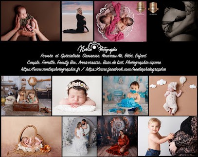 NOÉLIE PHOTOGRAPHIE, Photographe à Plumaudan