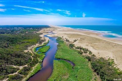 Cliché Salé, Photographe à Messanges