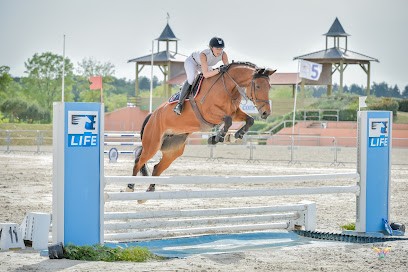 FotoLive.fr, Photographe à Montgeron